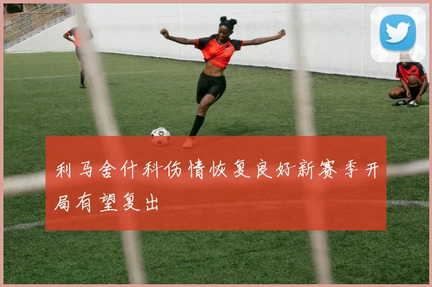 利马舍什科伤情恢复良好新赛季开局有望复出
